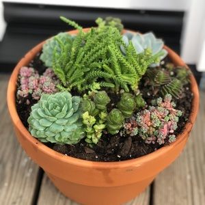 Meet your Posher, Anakela